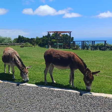 Casita - Cantinho Do Paraiso ヴィラ・ド・ポルト エクステリア 写真